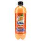 Fruiticana Smoothie Orange 12 x 500ml